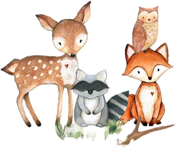 Animals